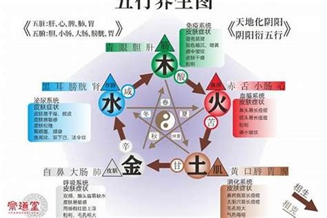 水木五行|【水 木 五行】深入解析五行中的水木關係，揭開五行生剋之謎